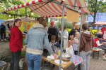 WpzFstvl22-IMG_9197_AvS